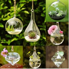 Home Garden Clear Glass Flower Hanging Vase Planter Terrarium Container New   262524091848